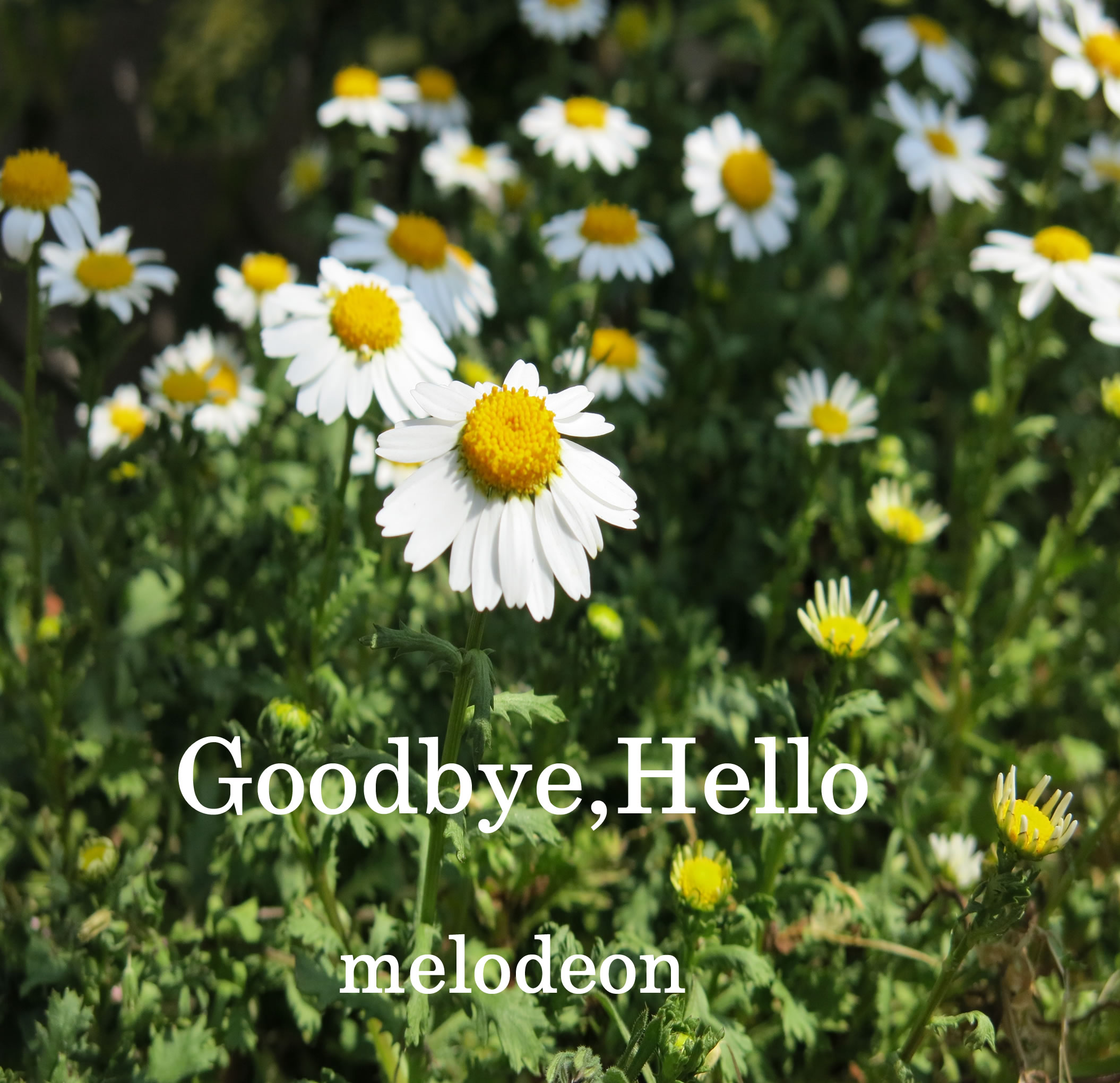 Goodbye,Hello